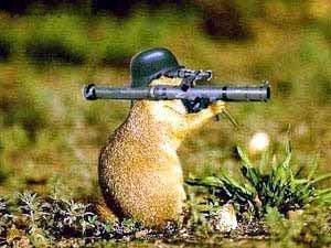 Militant Groundhog