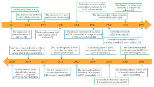 mRNA timeline