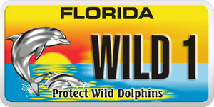 Florida Wild Dolphin plate