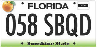 New Florida Plate
