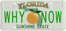 Standard Florida Plate